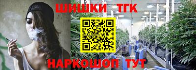 гашик Ливны