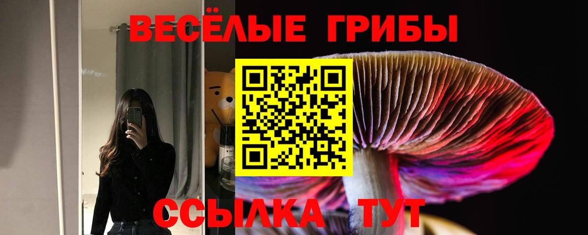 Ирбит  Галлюциногенные грибы мицелий  Вход с VPN 